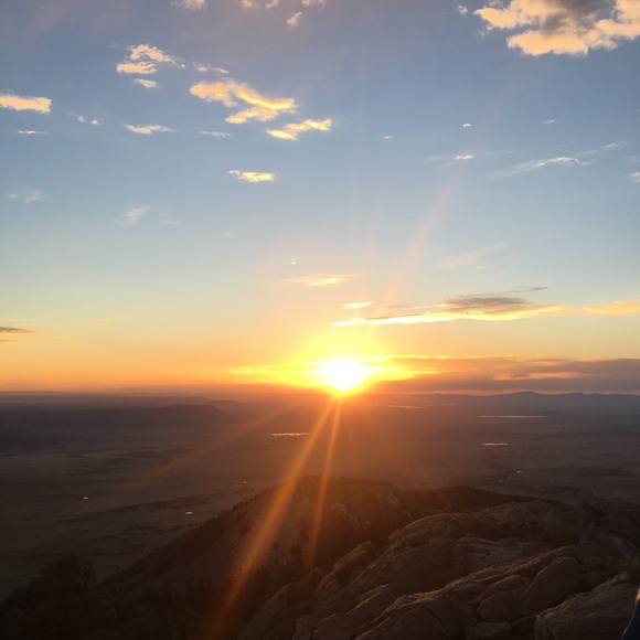 Meet your Posher, Wilson - Picture 1 of 1